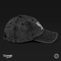 Protected Vintage Cotton Twill Cap - Image 5