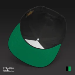 Tribal Spirit Flat Bill Cap - Image 7